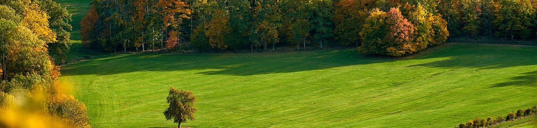 Wilkes-Barre Walkitecture app UI design