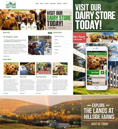 Hillside Farms website redesign